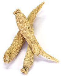 Ginseng-Whole Root